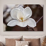 Tableaux Fleur blanche avec centre jaune