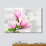 Tableaux Magnolias roses dans une lumière douce