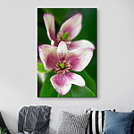 Tableaux Fleur rose sur fond vert luxuriant