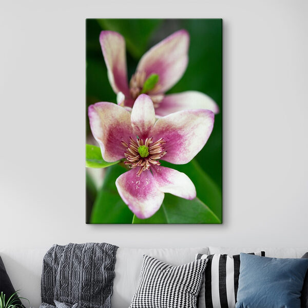 Fleur rose sur fond vert luxuriant Tableaux Fleur rose sur fond vert luxuriant