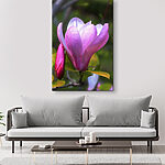 Tableaux Un magnolia délicat se déploie au printemps