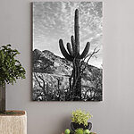 Tableaux Cactus dans le désert