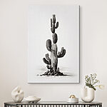 Tableaux Cactus sur fond blanc