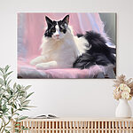 Tableaux Chat noir et blanc couché sur une couverture rose