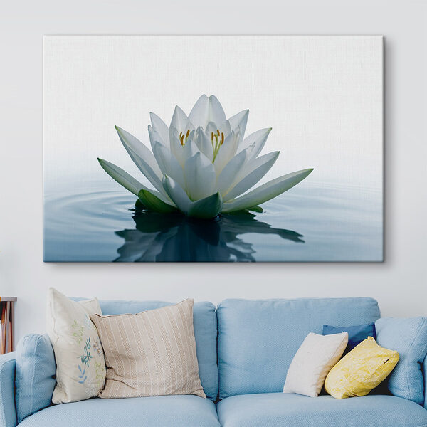 Fleur blanche dans l'eau Tableaux Fleur blanche dans l'eau