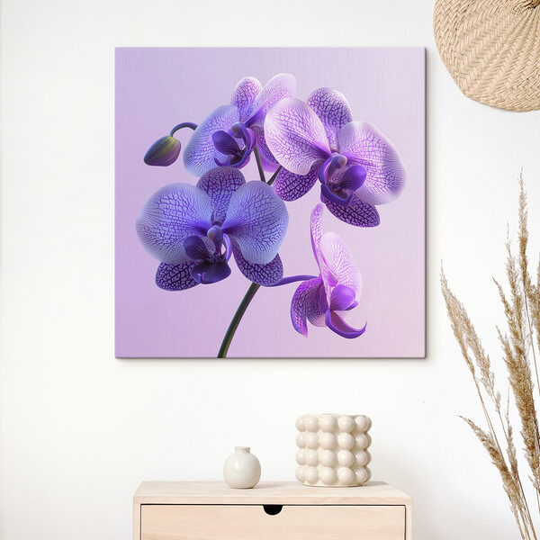 Fleur d'orchidée violette et blanche Tableaux Fleur d'orchidée violette et blanche