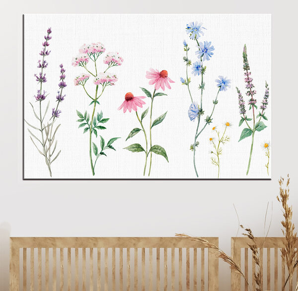 Groupe de fleurs sur fond blanc Tableaux Groupe de fleurs sur fond blanc