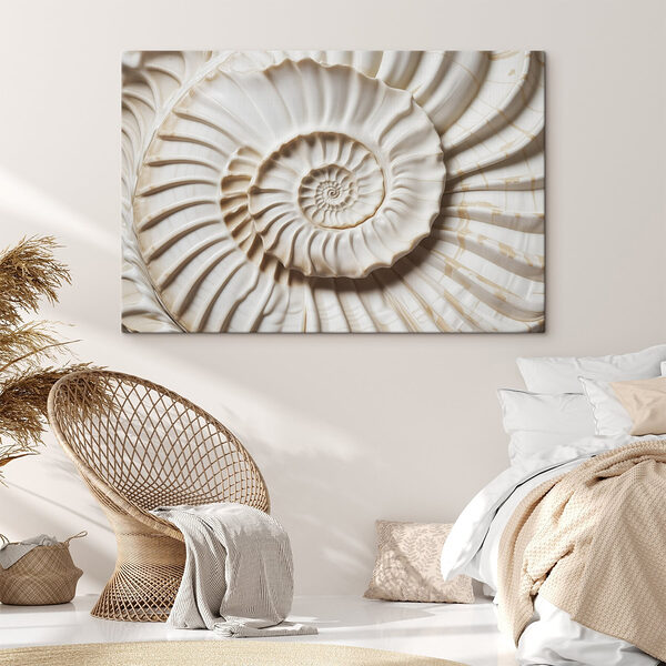 Motifs naturels dans un coquillage Tableaux Motifs naturels dans un coquillage