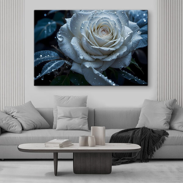 Tableaux Rose blanche avec des gouttes d'eau