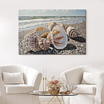 Tableaux Coquillages sur une plage