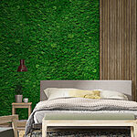 Papier peint Planche de bois sur un mur vert