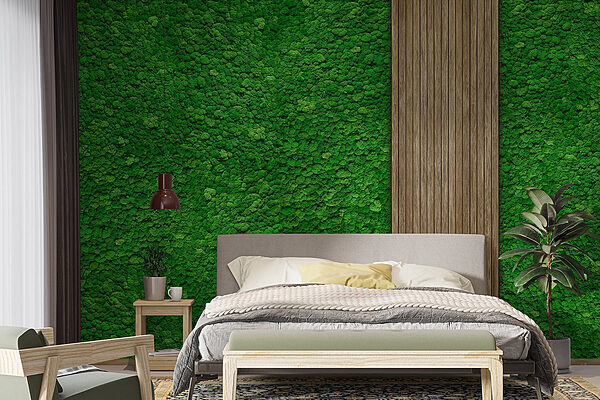 Planche de bois sur un mur vert Papier peint Planche de bois sur un mur vert