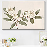 Tableaux Fleurs et feuilles blanches sur une branche