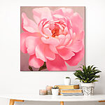 Tableaux Pétales délicats dans des tons roses doux