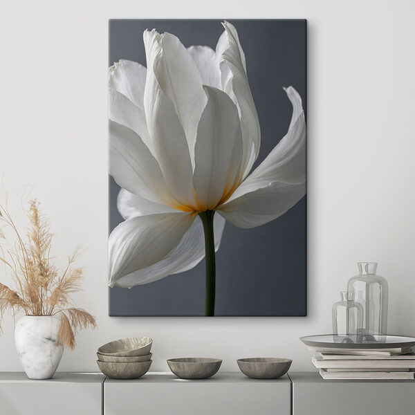 Pétales délicats dans une lumière douce Tableaux Pétales délicats dans une lumière douce