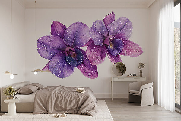 Fleurs violettes avec gouttes d'eau Papier peint Fleurs violettes avec gouttes d'eau