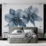Papier peint Orchidées délicates avec la rosée du matin