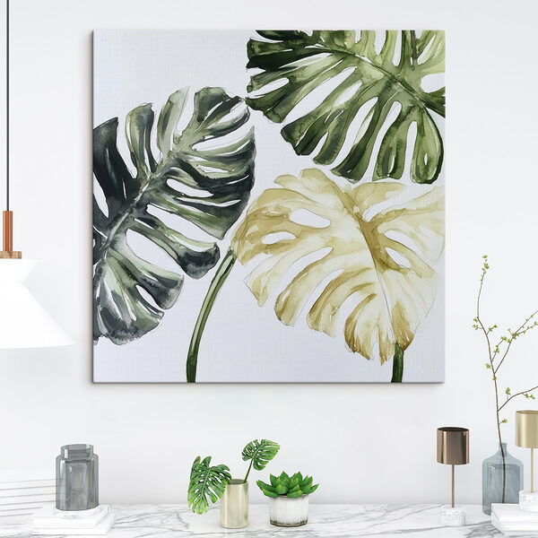 Tableaux Groupe de feuilles sur fond blanc