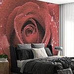 Papier peint Belle rose ornée de gouttelettes