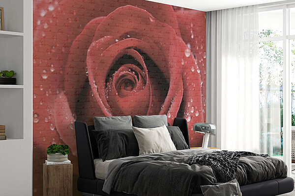 Belle rose ornée de gouttelettes Papier peint Belle rose ornée de gouttelettes