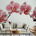 Papier peint Orchidées délicates aux teintes douces
