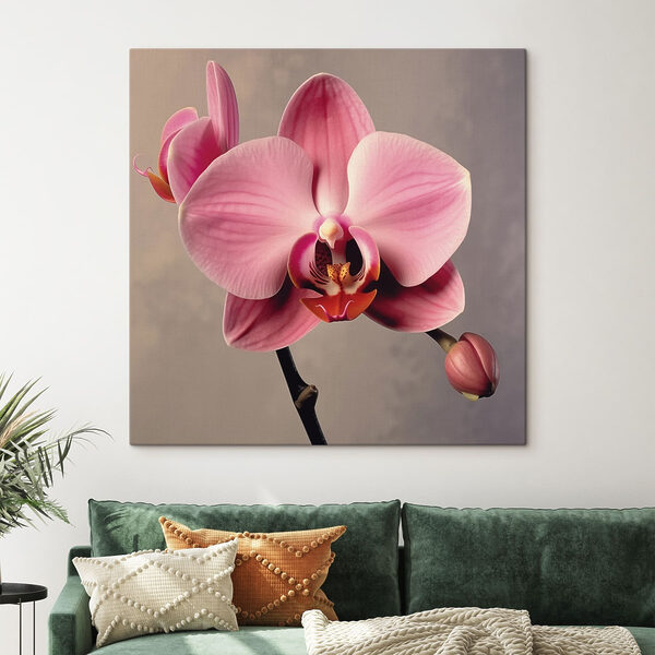 Délicate orchidée rose en fleur Tableaux Délicate orchidée rose en fleur
