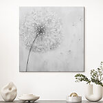 Tableaux Fleur de pissenlit dont les graines volent en l'air