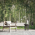 Papier peint Groupe d'arbres aux feuilles vertes