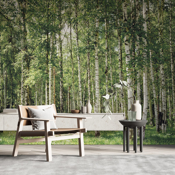 Groupe d'arbres aux feuilles vertes Papier peint Groupe d'arbres aux feuilles vertes