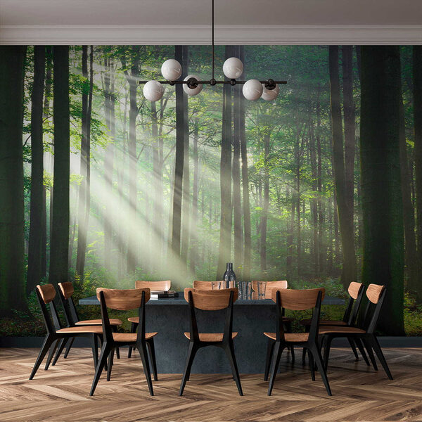 Papier peint Les rayons du soleil traversent la forêt