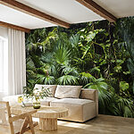 Papier peint Scène de verdure de forêt tropicale luxuriante