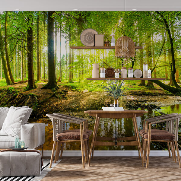 Forêt avec des arbres et le soleil qui brille à travers les arbres Papier peint Forêt avec des arbres et le soleil qui brille à travers les arbres
