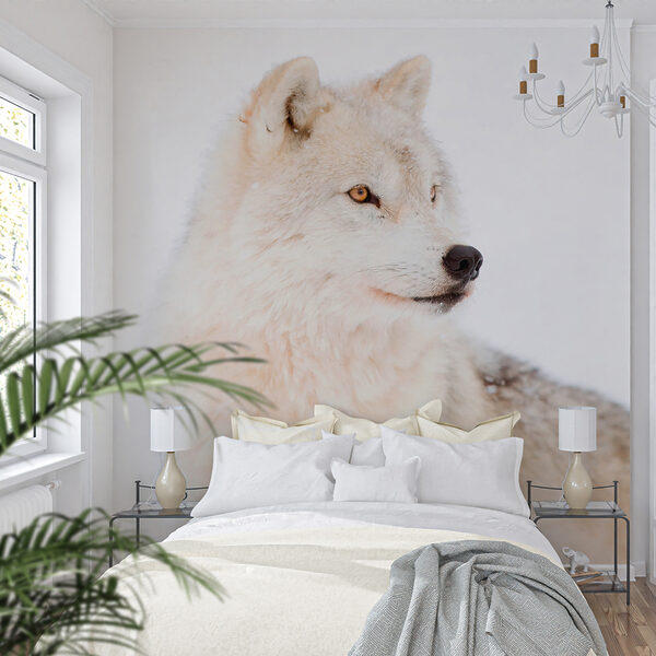 Papier peint Loup blanc dans la neige