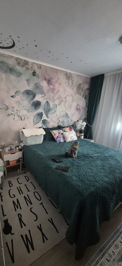 Image #1 à partir de Mihaela Sandu