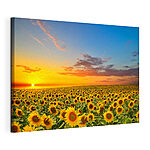 Tableaux Champ de tournesols