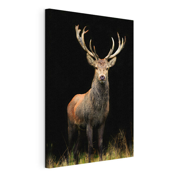 Tableaux Tableaux Cerf majestueux dans la forêt (UGS : s08154)