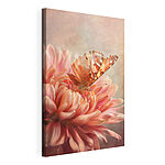 Tableaux Papillon sur une fleur