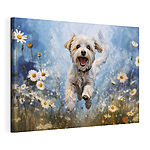 Tableaux Chien sautant en l'air