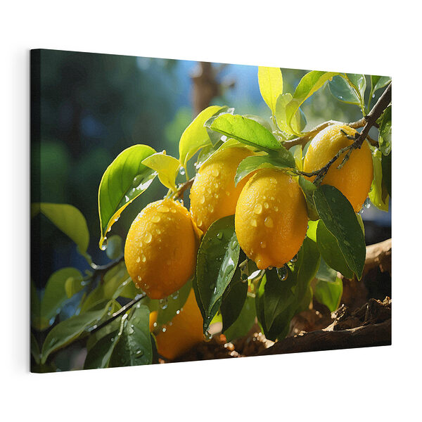 Groupe de citrons sur un arbre Tableaux Groupe de citrons sur un arbre