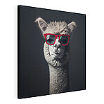 Tableaux Lama portant des lunettes de soleil rouges