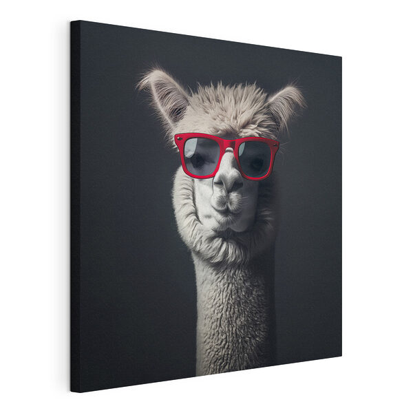 Lama portant des lunettes de soleil rouges Tableaux Lama portant des lunettes de soleil rouges