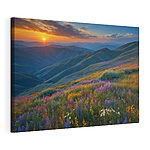 Tableaux Champ de fleurs sur une montagne