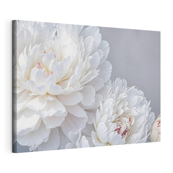 Fleurs blanches dans une délicate étreinte Tableaux Fleurs blanches dans une délicate étreinte