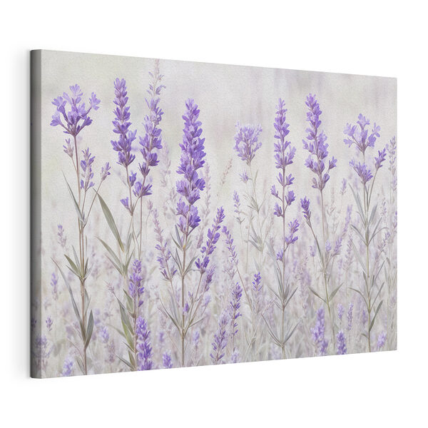 Tableaux Groupe de fleurs violettes