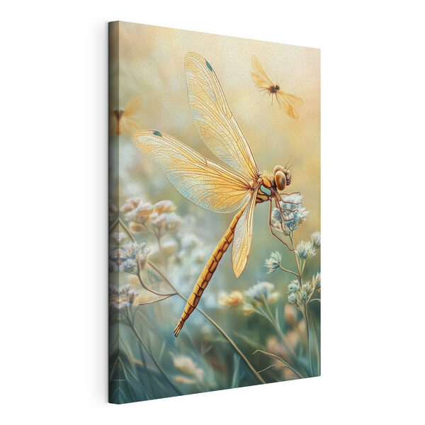 Libellule sur une fleur Tableaux Libellule sur une fleur