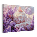 Tableaux Chat dormant dans un parterre de fleurs