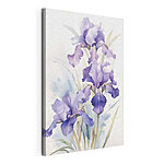 Tableaux Délicate floraison d'iris violets