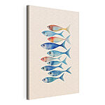 Tableaux Groupe de poissons de couleurs différentes