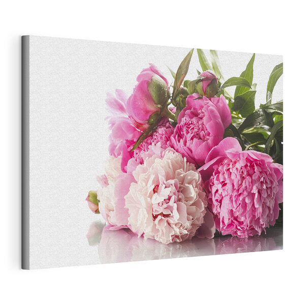 Pivoines roses et blanches éclatantes Tableaux Pivoines roses et blanches éclatantes