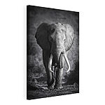 Tableaux Un éléphant avec des défenses qui marche